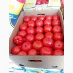 Продам помидор тепличный красных, розовых и желтых сортов