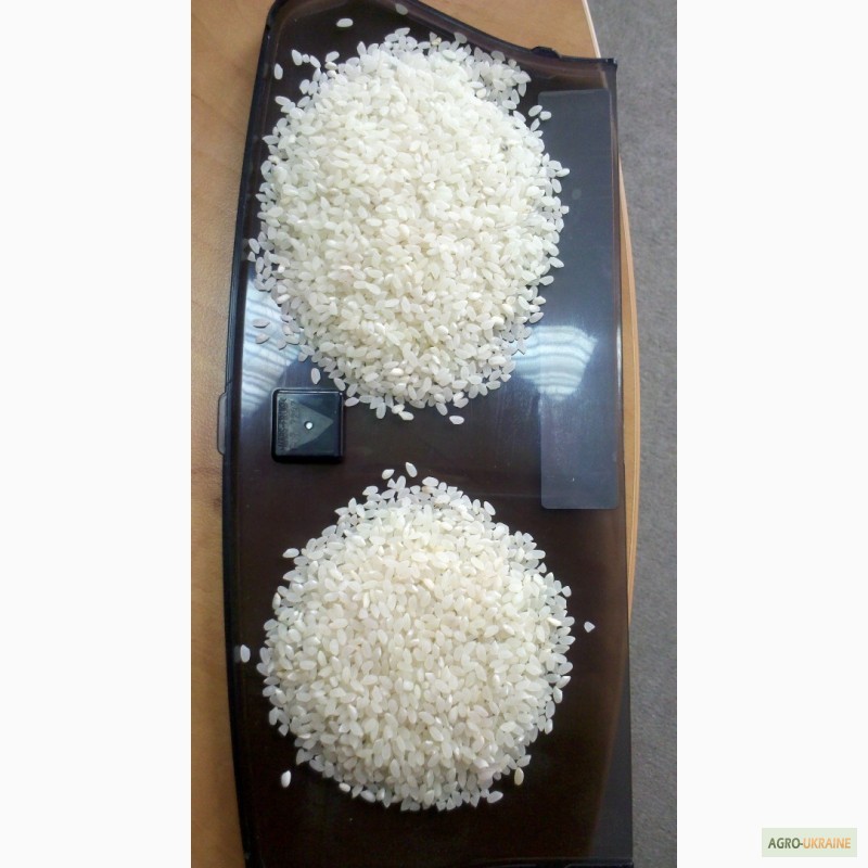 Фото 2. Качественный рис, Украинские Рисовые системы