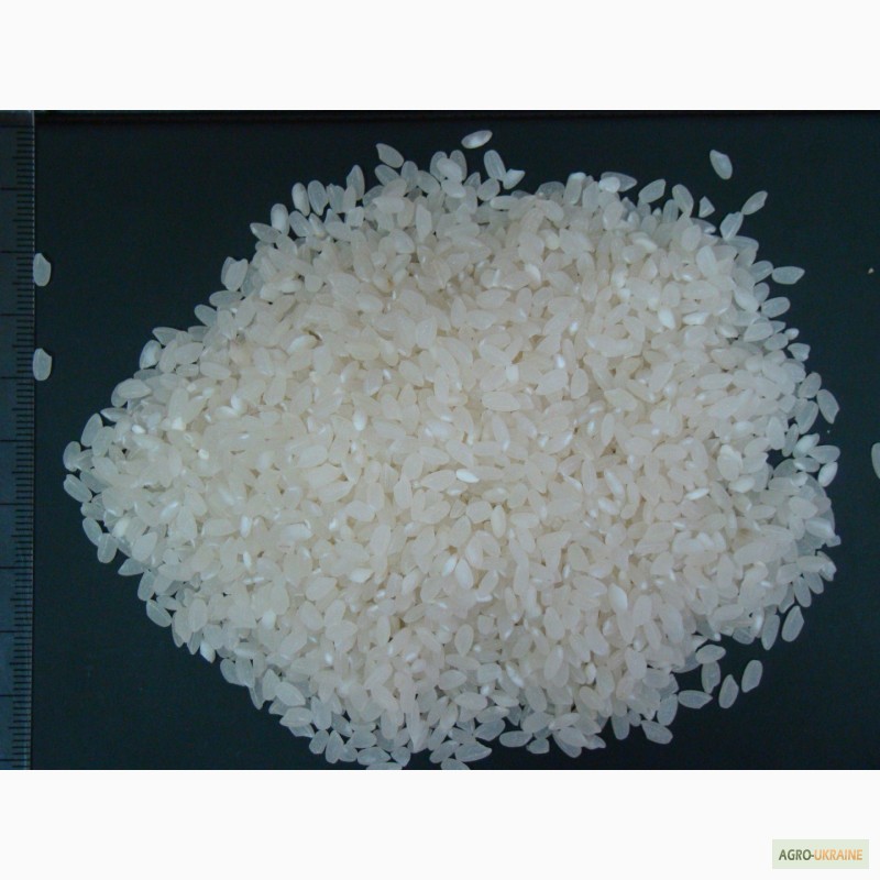 Фото 3. Качественный рис, Украинские Рисовые системы