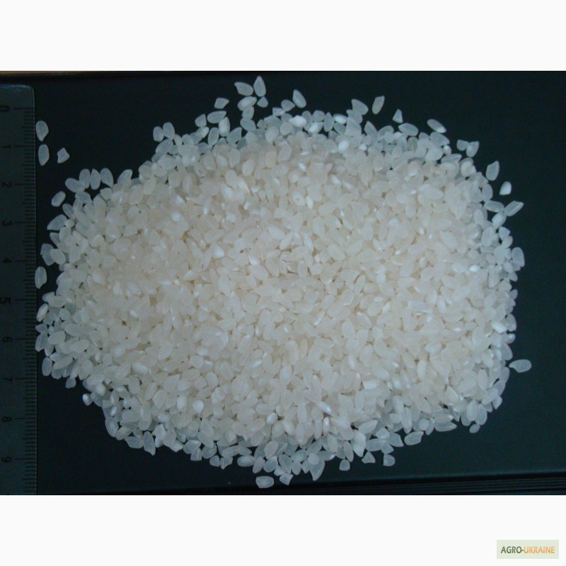 Фото 4. Качественный рис, Украинские Рисовые системы