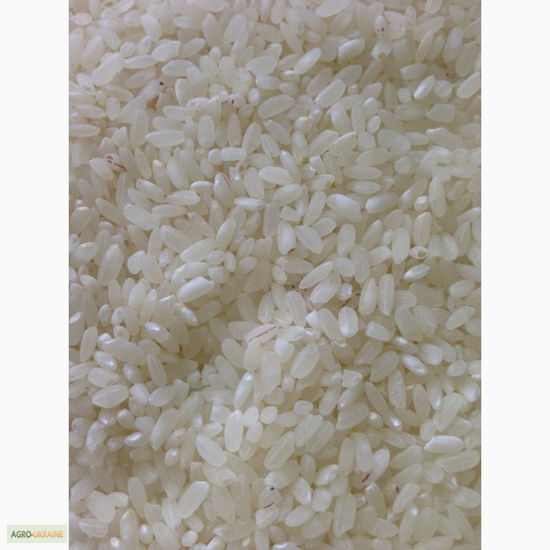 Фото 5. Качественный рис, Украинские Рисовые системы