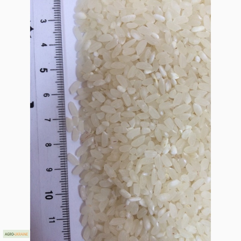Фото 7. Качественный рис, Украинские Рисовые системы