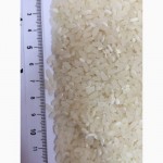 Качественный рис, Украинские Рисовые системы