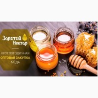 Купим мед, дорого, в Дніпропетровській обл