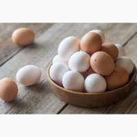 WIDELAND EXPORT продает яйца свежие С0, С1 на экспорт (export eggs fresh and egg powder)
