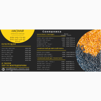 Пропонуємо придбати насіння соняшнику власної селекції/ДОСТАВКА НАША