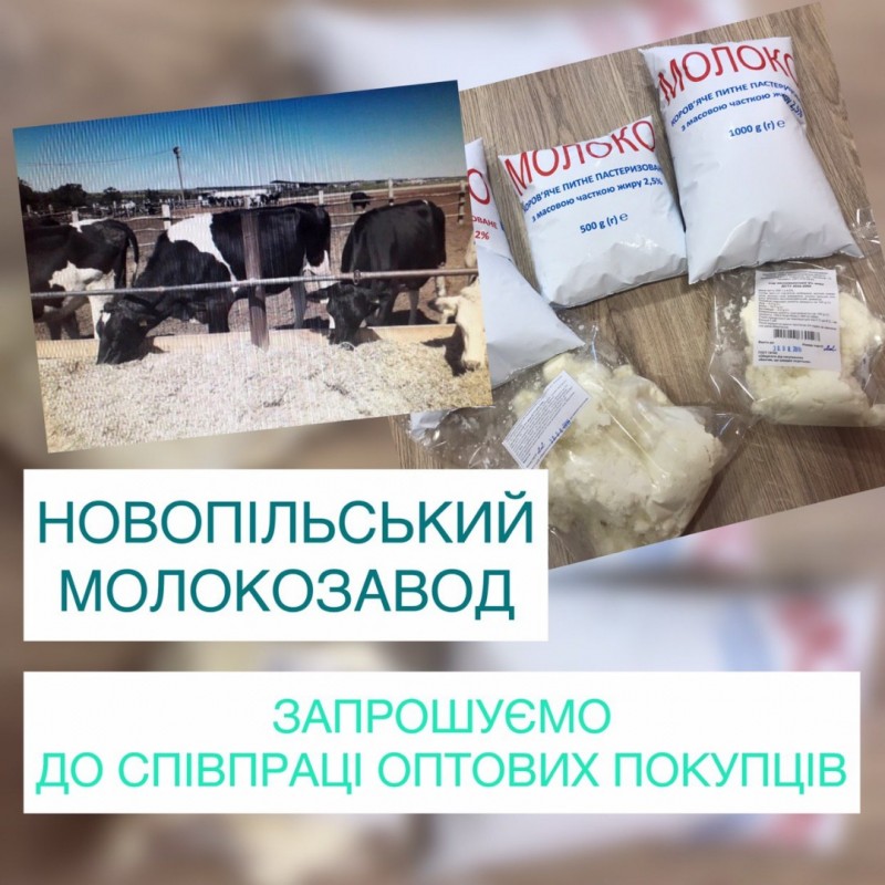Молоко рога. Кисломолочный сыр 9 %. Творог Украина. Молочный завод приглашает на практику. Купить творог оптом от производителя.