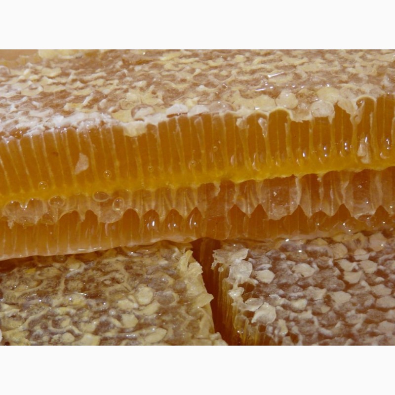 Фото 5. Мёд. Сотовый мёд. Натуральный. Вызревший нектар лечебных трав заповедника