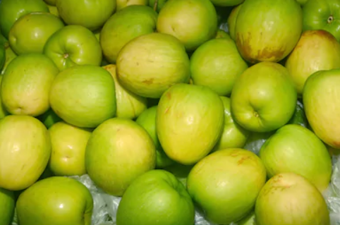 Фото 2. Куплю яблоки сортов с макс. длительным сроком хранения