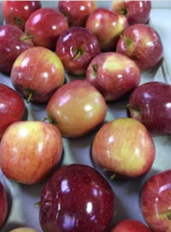 Фото 3. Куплю яблоки сортов с макс. длительным сроком хранения