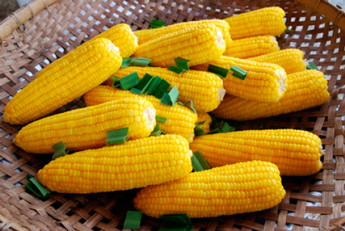 Фото 3. Купуємо кукурудзу нового врожаю 2021 року
