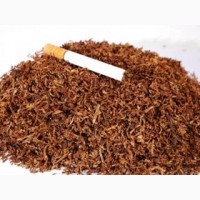 Продам тютюн, табак вірджинія, берлі лапша ціна за 1 кг різні сорти