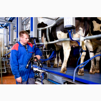 Обладнання DeLaval для молочно-товарних ферм ТОВ МОЛПАРТНЕР