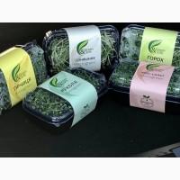 Продам мікрозелень