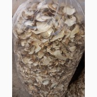 Продам гриби сушені, білі, підберезники, синюшник, моховик, мухомор опт та роздріб