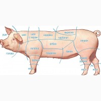 Реализуем замороженную свиную разделку: Задок, лопату, вырезку, ошеек, окорок, 80/20