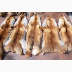 Продам шкуры лисы