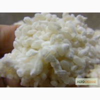 Коджи рис для Шио Коджи (Сио Кодзи) (мицелий, специя, приправа)
