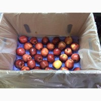 Яблоки из Турции
