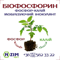 Мобілізуючий інокулянт - Біофосфорин ENZIM Agro