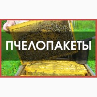 Пчелопакеты