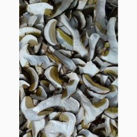 Куплю сухие белые грибы