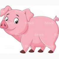 Куплю свиней разных