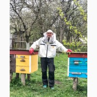 Бджоли, відводки, рої, мед