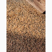 Продажа зерноотходов из твердых сортов пшеницы с сорной примесью