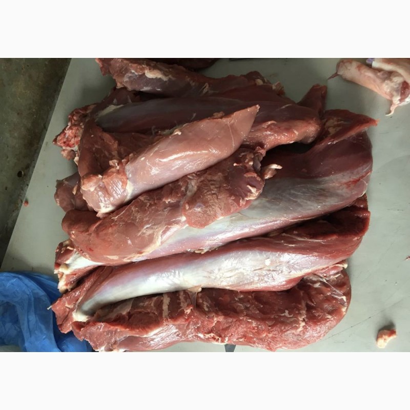 Фото 2. Мясо телятины, говядины и конины