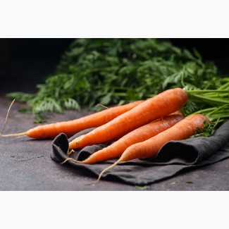 Морква різних сортів оптом та вроздріб