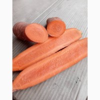Підприємство реалізує моркву заморожену фасовану по 1, 0 кг