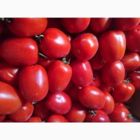 Продам якісний помідор