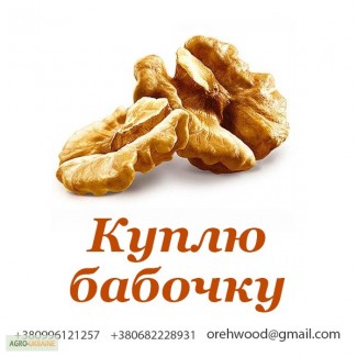 Куплю грецкий орех Бабочка