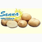 Картофель семенной Ривьера, Тирас и другие со склада в Виннице