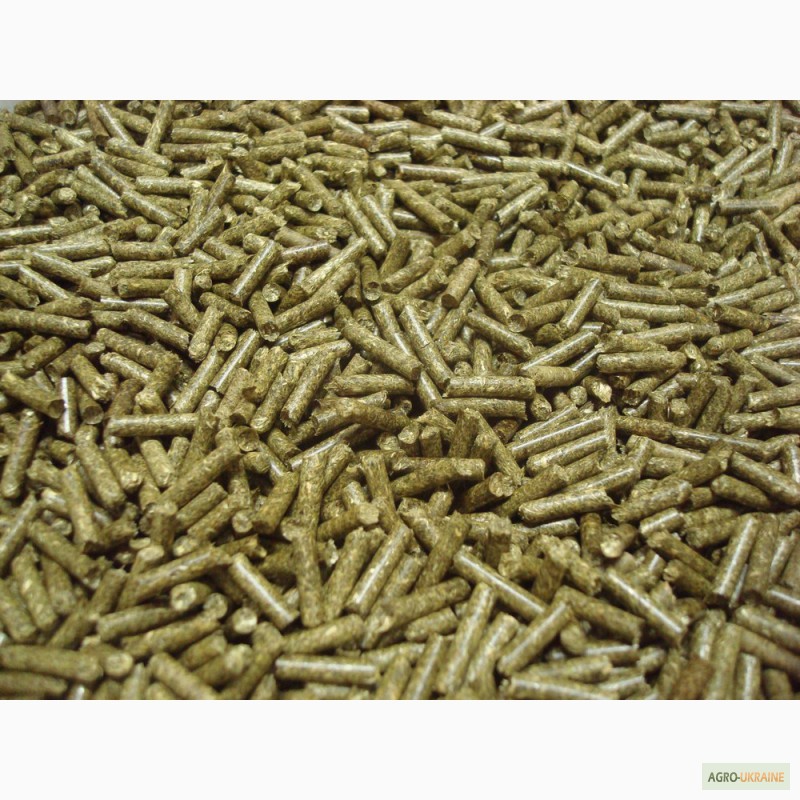 Фото 7. Пресс - грануляторы биомассы MG 100/200/400/600/800/1000 (Чехия)