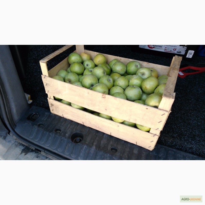 Фото 2. Ящики шпоновые для яблок в Крыму от производителя