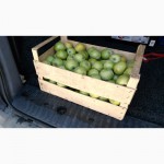 Ящики шпоновые для яблок в Крыму от производителя