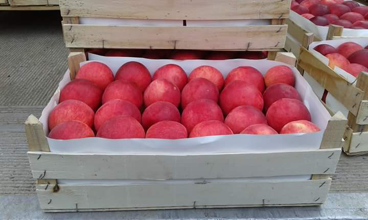 Фото 7. Ящики шпоновые для яблок в Крыму от производителя