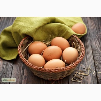 Яйца коричневые столовые диетические продам, опт