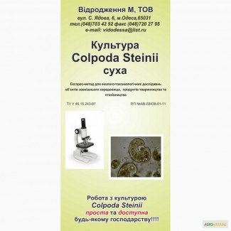 Культура Colpoda steinii суха для еколого-токсикологічних досліджень