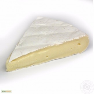 Натуральный козий сыр бри. Вы можете купить сыр бри с плесенью в Одессе с доставкой