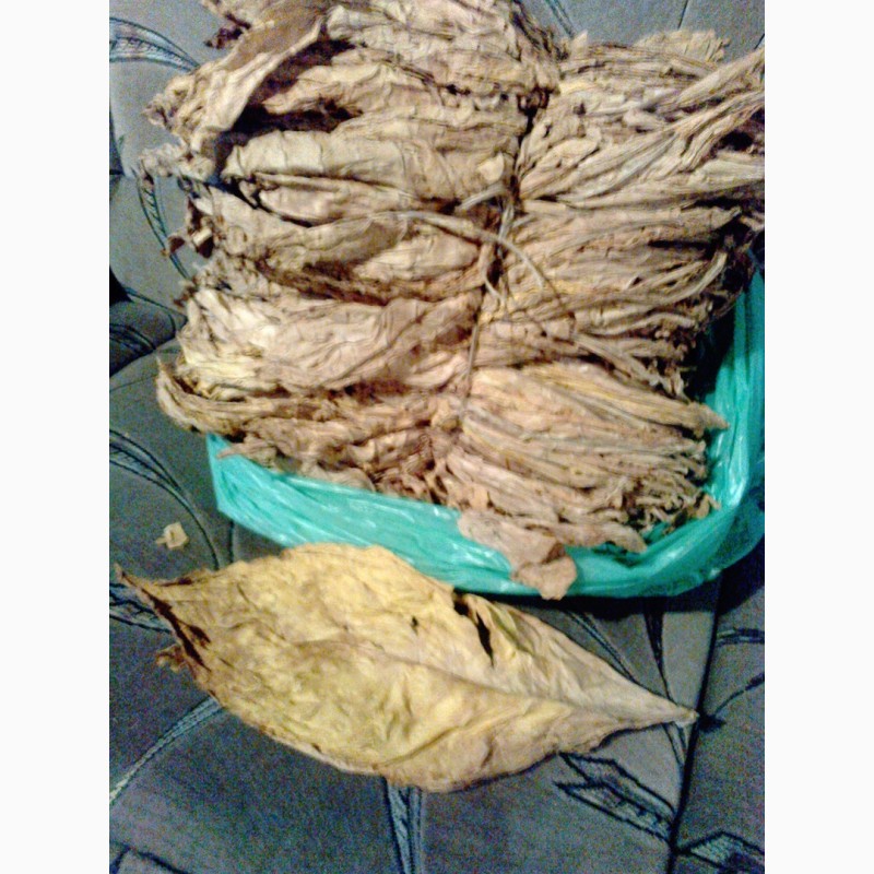 Фото 2. Семена табака(разные сорта), Табак !(разная крепость, и состав)и все есть по табаку