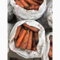 Продам моркву