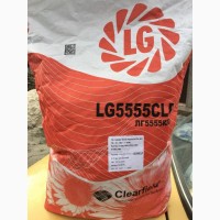 Семена Limagrain LG5555CLP