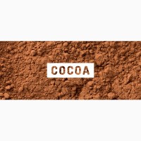 Какао порошок промышленный