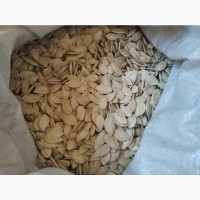 Гарбузове насіння | Тыквы семена | Сортове | Багатоплідна