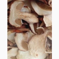 Сушені гриби - сушена продукція