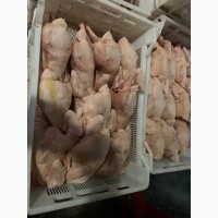 Тушки курицы несушки (суповая) замороженные не экспорт