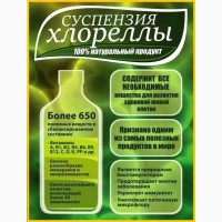 Хлорелла суспензия (Chlorella-Vulgaris) - живой штамм хлореллы